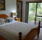 Peaceful Palms Bed and Breakfast - - Sunshine Coast Tourism