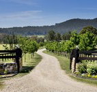 Pemberley Grange Hunter Valley Getaway - Sunshine Coast Tourism