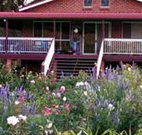 Rose Patch Bed and Breakfast - Sunshine Coast Tourism