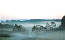 The Shed B And B - Holiday Sunshine Coast 2