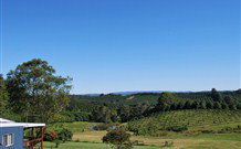 The Shed B And B - Holiday Sunshine Coast 1