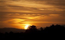 The Shed B And B - Holiday Sunshine Coast 4