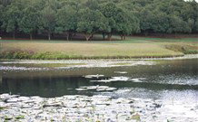 The Shed B And B - Holiday Sunshine Coast 5