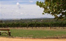 The Vineyard Motel - Sunshine Coast Tourism 1