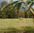 The Watertank Bed and Breakfast - Sunshine Coast Tourism