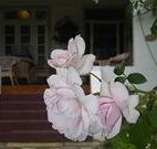 White House Heritage Guesthouse - Sunshine Coast Tourism