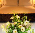 Winton Luxury Bed and Breakfast - Sunshine Coast Tourism