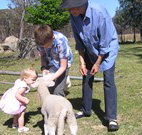 Yarralong BnB and Farm Stay - Sunshine Coast Tourism