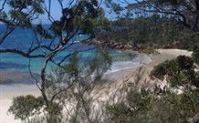 Six Foot Track Lodge - Holiday Sunshine Coast 1