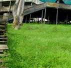 Snowy Valley Resort - Sunshine Coast Tourism