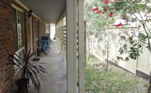 2 Dogs Cottages - Lemon - Sunshine Coast Tourism 2