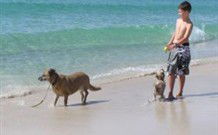 A Paradise Bungalow Waterfront - Holiday Sunshine Coast 0