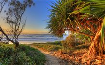 Andrea's Houses - Frangipani House - Sunshine Coast Tourism 4