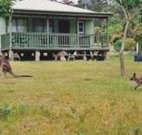 Bewong River Retreat - Holiday Sunshine Coast