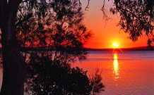 Bluegums Cabins - Sunshine Coast Tourism 7