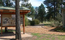 Carrie's Cottage - Holiday Sunshine Coast 5