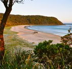 Ecoasis - Sunshine Coast Tourism