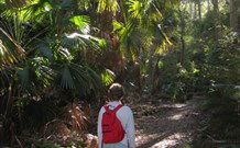 Ecoasis - Holiday Sunshine Coast 7