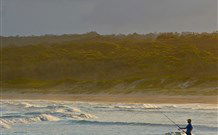 Ecoasis - Holiday Sunshine Coast 8