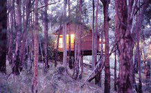 Elgetha Cottage - Sunshine Coast Tourism 5