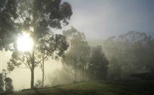 Grace Cottages - Sunshine Coast Tourism 2