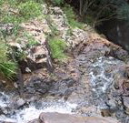 Snug Cove Villas - Sunshine Coast Tourism