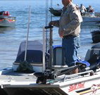 Leslie Cottage - Holiday Sunshine Coast