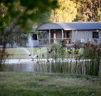 Mt Clunie Cabins - Sunshine Coast Tourism