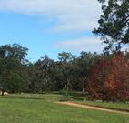 Mulberry Cottage - Sunshine Coast Tourism
