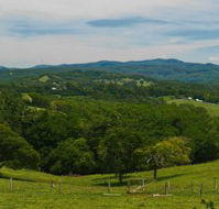 Nightcap Cottage - Sunshine Coast Tourism