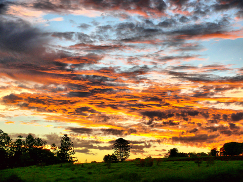Yarraman Caravan Park & Cabins - Sunshine Coast Tourism 5