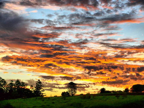 Yarraman Caravan Park & Cabins - Sunshine Coast Tourism 9