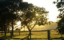 Pebble Bay Cottage - Holiday Sunshine Coast 4