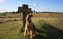 Pebble Bay Cottage - Holiday Sunshine Coast 7