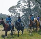 Possums Hideaway - Holiday Sunshine Coast
