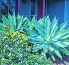 Retreat Homestead - Sunshine Coast Tourism