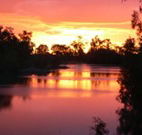 Roches Family Hotel - Sunshine Coast Tourism