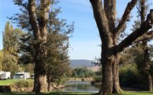 Sand Cottage - Holiday Sunshine Coast 1