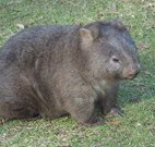 Seakissed Beachhouse - Sunshine Coast Tourism