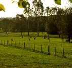 Stone Cottage Mittagong - Holiday Sunshine Coast