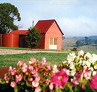 Tropical Coast Retreat - Sunshine Coast Tourism