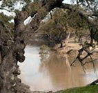 Valley View Cottage Hunter Valley - Holiday Sunshine Coast