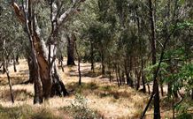 Wagon Wheel Motel And Units - Holiday Sunshine Coast 6