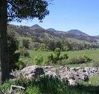 Woolshed Hill Estate - Holiday Sunshine Coast