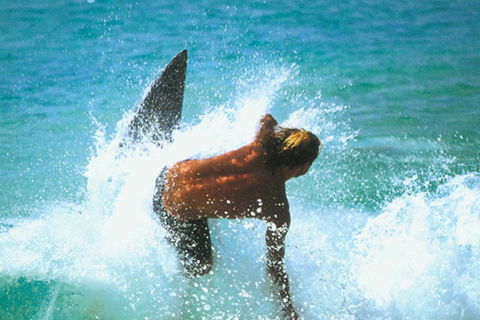 Wollongong YHA - Holiday Sunshine Coast 3