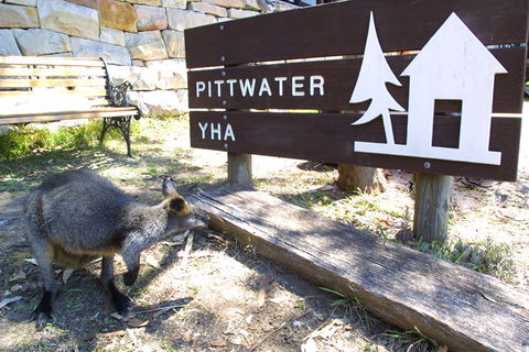 Sydney - Pittwater YHA - Sunshine Coast Tourism 9