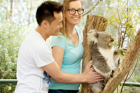 Mt Lofty YHA - Sunshine Coast Tourism 6