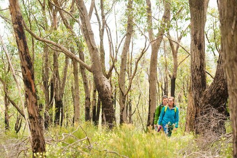 Mt Lofty YHA - Sunshine Coast Tourism 8