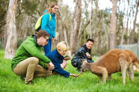 Mt Lofty YHA - Sunshine Coast Tourism 7