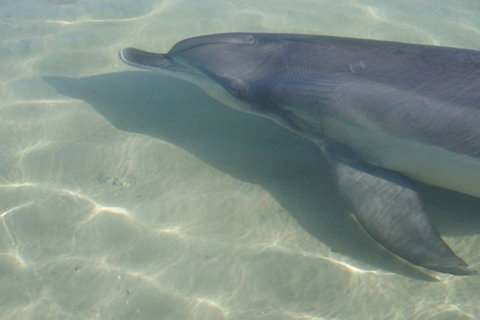 Bunbury YHA - Sunshine Coast Tourism 6